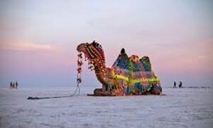 Night Seen at Little Rann of Cutch