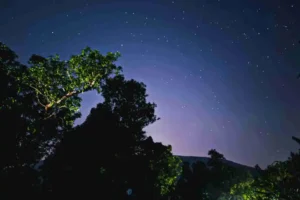 Star-Gazing