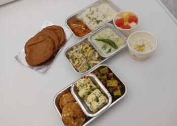 Air India Special Menu for Narati Fasting Passangers
