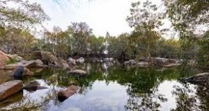 Orchha Bird Sanctuary